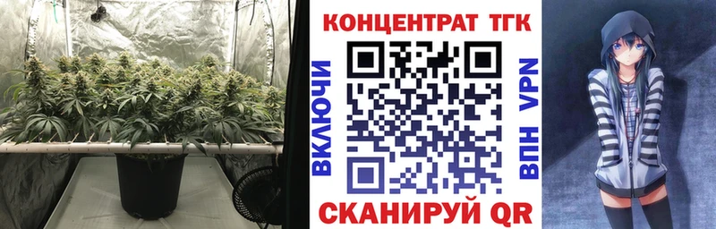 купить наркотики цена  Острогожск  ТГК концентрат 