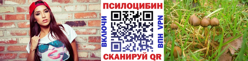 Галлюциногенные грибы Magic Shrooms  магазин продажи   Острогожск 