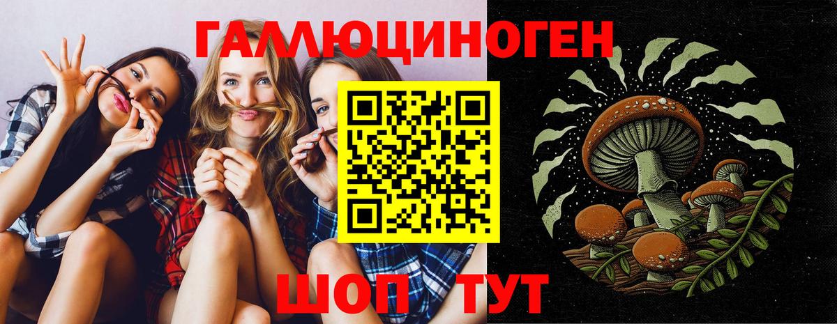Псилоцибиновые грибы Psilocybe Острогожск