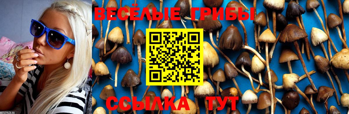 Псилоцибиновые грибы Psilocybe  Вход с VPN  Острогожск 
